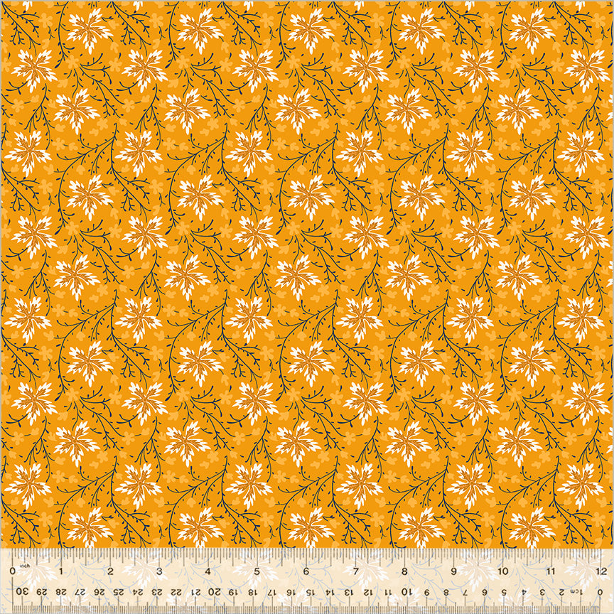 CIRCA: SHARP CHEDDAR, BLOOM BURST, CHEDDAR, COTTON