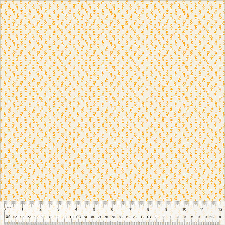 CIRCA: SHARP CHEDDAR, DAINTY, CREMA, COTTON