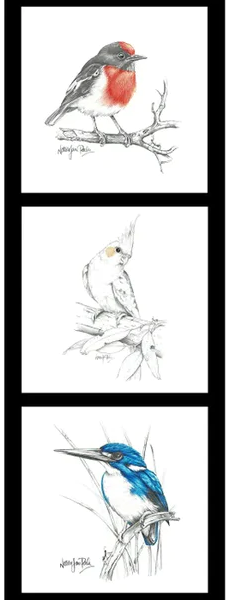 NATALIE JANE PARKER PANEL - ROBIN, COCKATIEL, KINGFISHER
