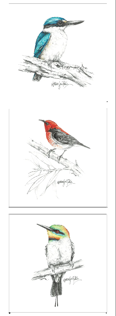 NATALIE JANE PARKER - KINGFISH, ROBIN, WREN
