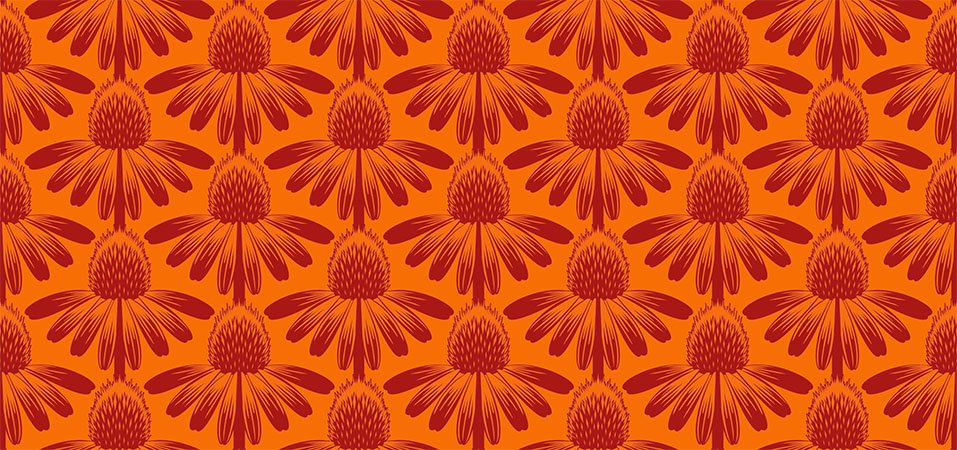 INDELIBLE CONEFLOWER CHEERY TANGERINE