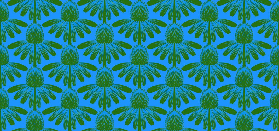 INDELIBLE CONEFLOWER CHEERY POOL