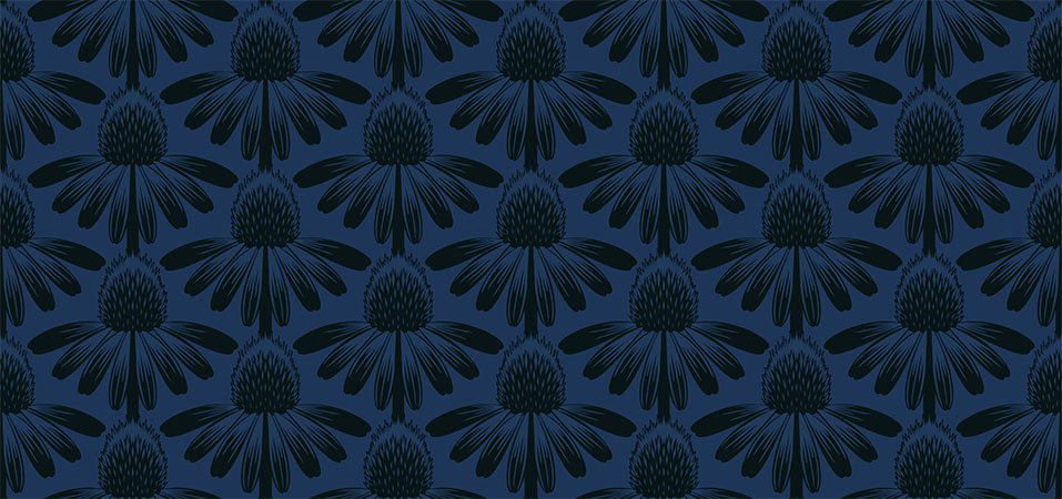 INDELIBLE CONEFLOWER LUSH NIGHT