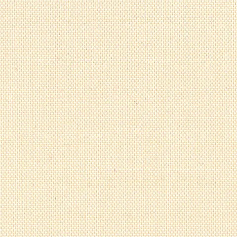 DV SOLIDS SEA SHELL