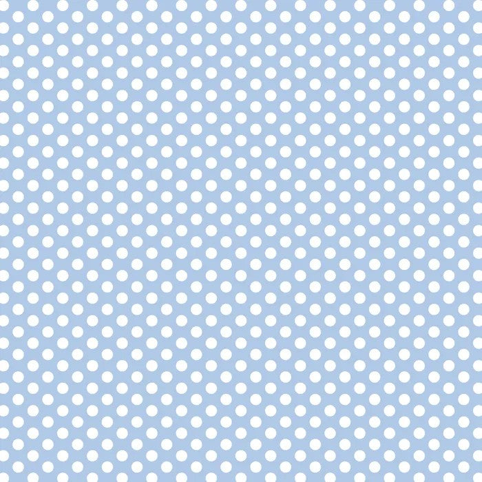 FUNDAMENTALS 1/2 SPOT PARTLY CLOUDY BLUE