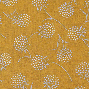 CENTENARY COLLECTION CE10683-D MUSTARD