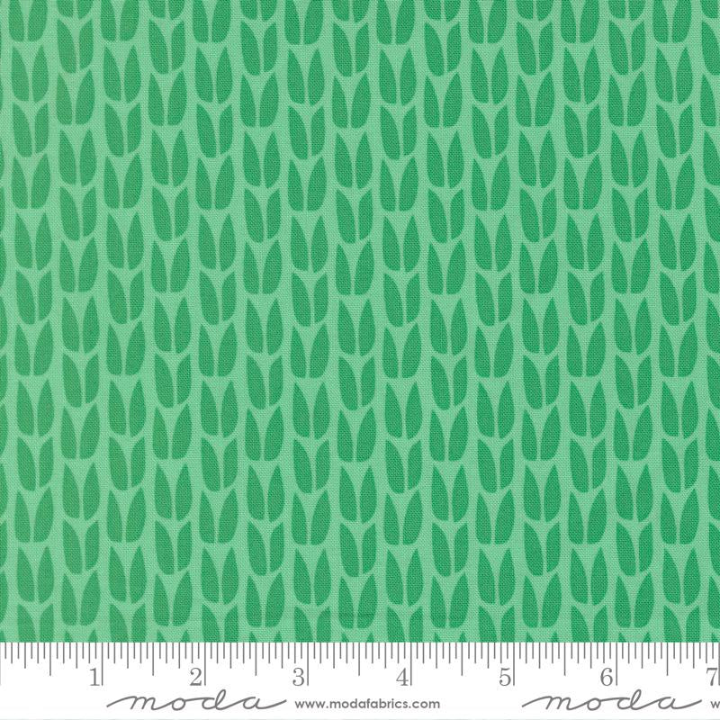 SCENERY SPROUT SPEARMINT 