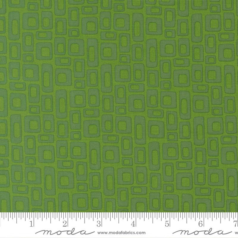 SCENERY MARSHMALLOW EVERGREEN