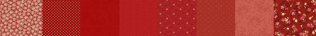 STRIP-IT 1/4" RED PATRICK'S PROMISE 