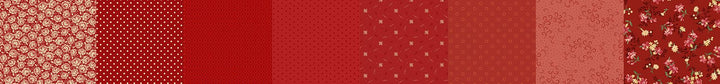 STRIP-IT 1/4" RED PATRICK'S PROMISE 