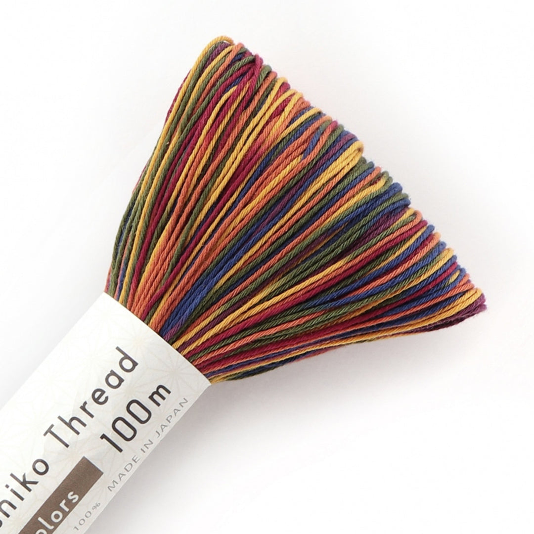 SASHIKO THREAD VARIEGATED 100M  PARQUET 304